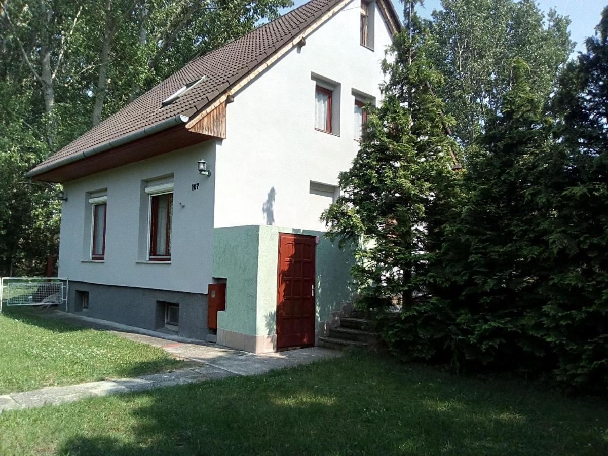 F 106 Vendégház Fertőhomok Exterior foto